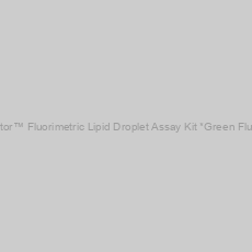 Image of Cell Navigator™ Fluorimetric Lipid Droplet Assay Kit *Green Fluorescence*